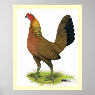 Spel Hen: Pea-kambed Poster