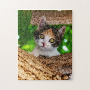 Spel Pussel-Kitten Pussel