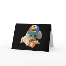 Spela Boll Poodle Grattiskort