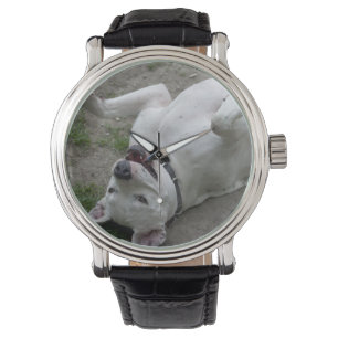 Spela Dogo Argentino Armbandsur