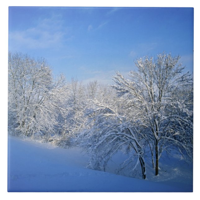 Spela in snö i Louisville, Kentucky. Kakelplatta (Framsidan)