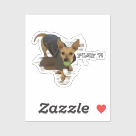 Spela! Klistermärken