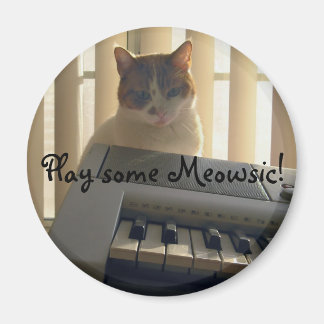 Spela lite Meowsic! Magnet