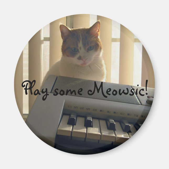 Spela lite Meowsic! Magnet (Framsidan)