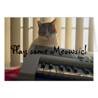 Spela lite Meowsic! OBS Kort
