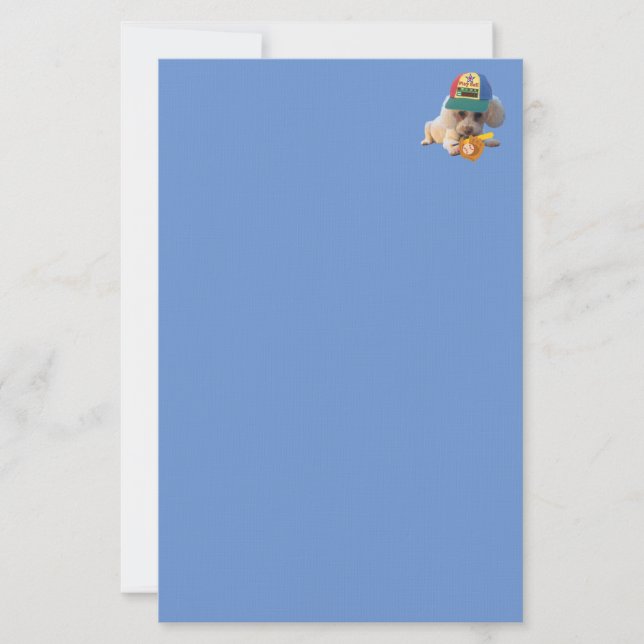 Spela upp Boll Pudel matchande Blue Stationery Brevpapper (Framsida)
