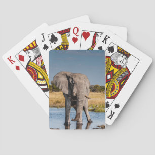 Spela upp kort med frambilden av Elephant Spelkort