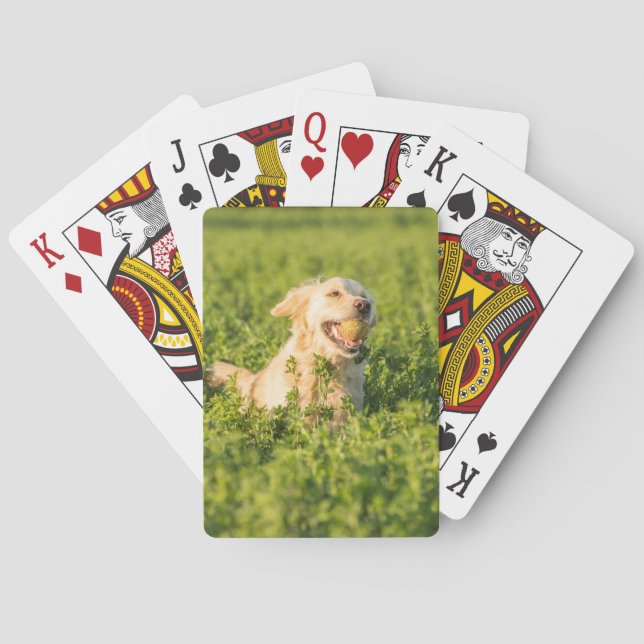 Spela upp kort med frambilden av Golden Retriever Spelkort (Baksidan)