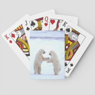 Spela upp polar casinokort