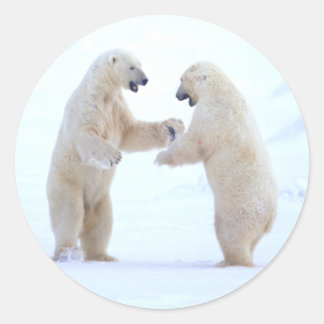 Spela upp polar runt klistermärke