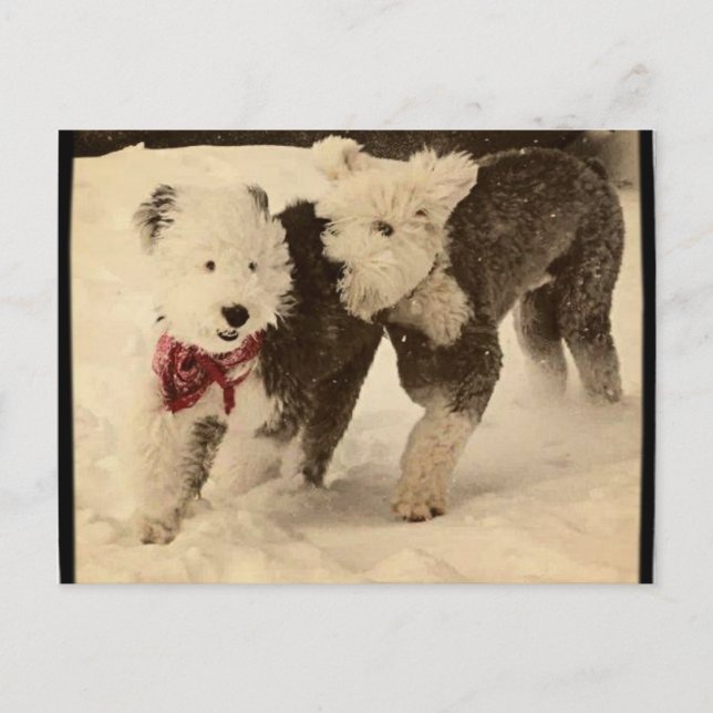 Spela! Vykort (Framsida)