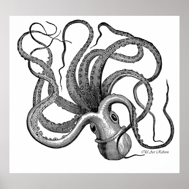 Spelande bläckfisk poster (Framsidan)