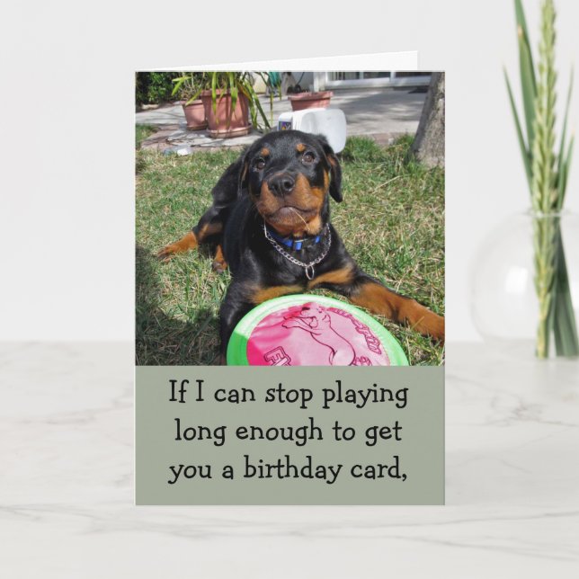 Spelande bosy Rottweiler Birthday Card Kort (Framsida)