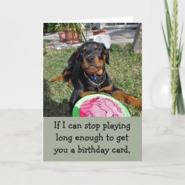 Spelande bosy Rottweiler Birthday Card Kort