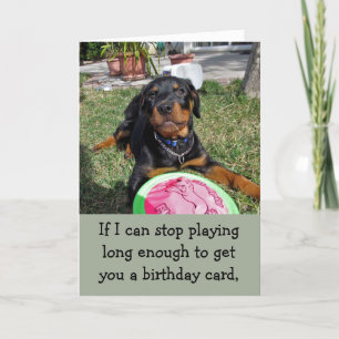 Spelande bosy Rottweiler Birthday Card Kort