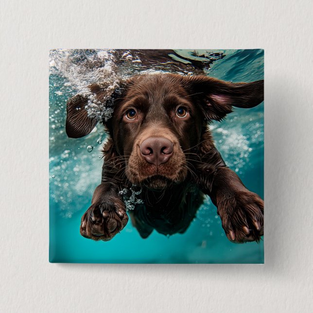 Spelande Chocolate Labrador Swimming Underwater Knapp (Framsida)