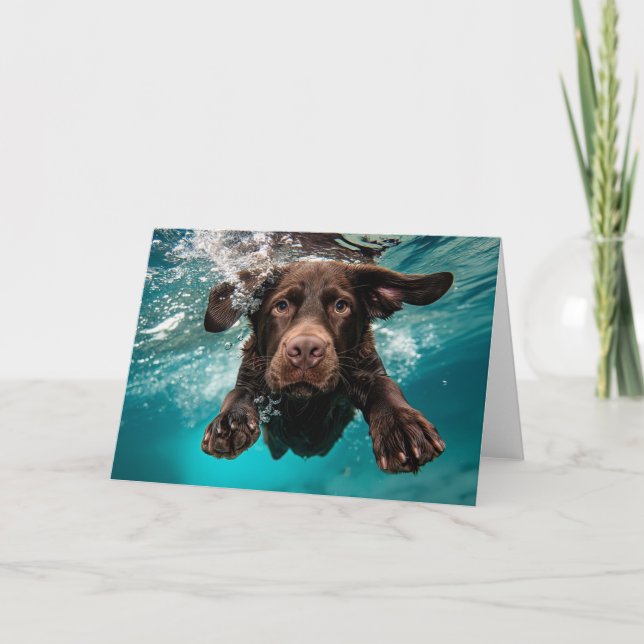 Spelande Chocolate Labrador Swimming Underwater Kort (Framsida)