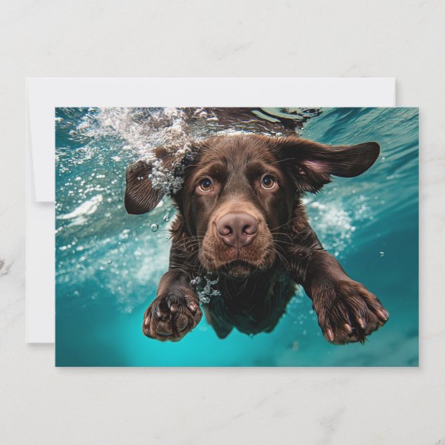 Spelande Chocolate Labrador Swimming Underwater Kort (Framsida)