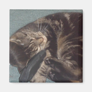 Spelande Dave 5.1 Cm Square Magnet