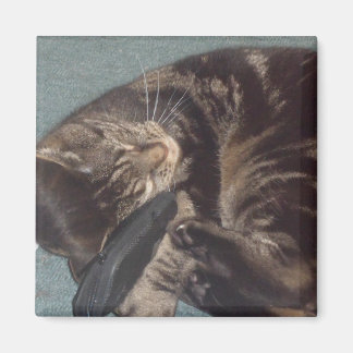 Spelande Dave 5.1 Cm Square Magnet