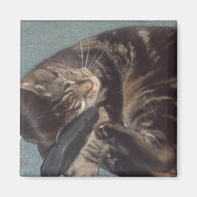 Spelande Dave 5.1 Cm Square Magnet (Framsidan)