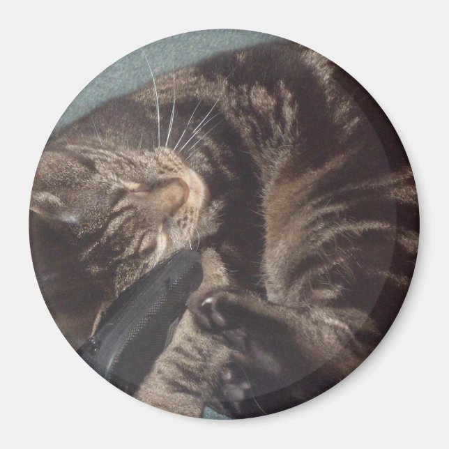 Spelande Dave Large, 7,6 cm runda magnet (Framsidan)