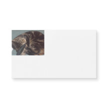 Spelande Dave Magnetic Affärskort (25 paket)