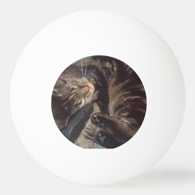 Spelande Dave Three Star Ping Pong Boll (Framsidan)