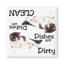 Spelande Kat Dishwasher Magnet