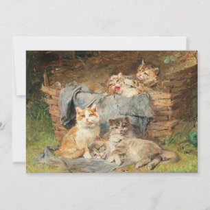 Spelande katter Julius Adam the Younger