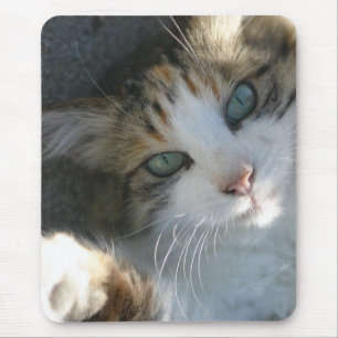 Spelande Kattunge Musmatta