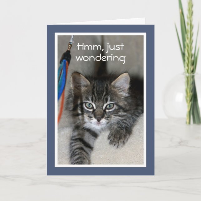 Spelande Kitten Birthday Card Kort (Framsida)