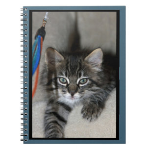 Spelande Kitten Kimber-bärbar dator Anteckningsbok