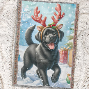Spelande Labrador Retriever Hund Julvalp Filt