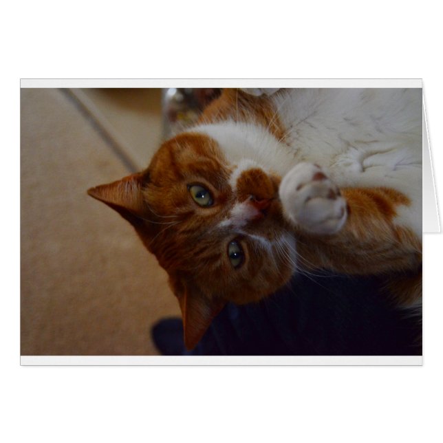 Spelande Nutmeg. Hälsningskort (Framsidan Horizontal)