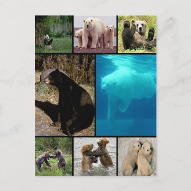 Spelande päron vykort (Framsida)