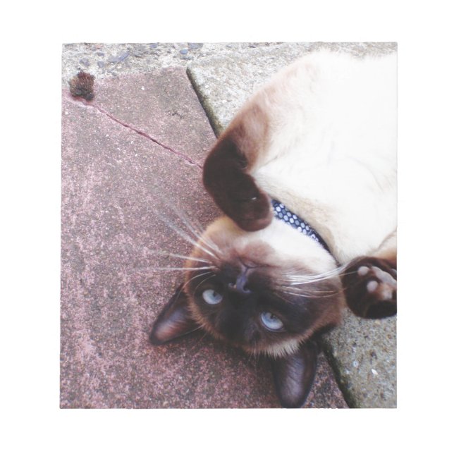 Spelande siameser anteckningsblock (Framsida)