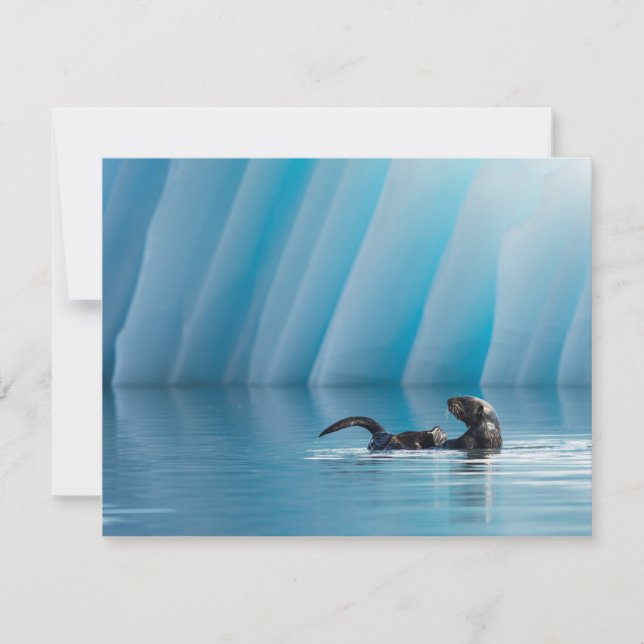 Spelande sjöutter (Framsida)