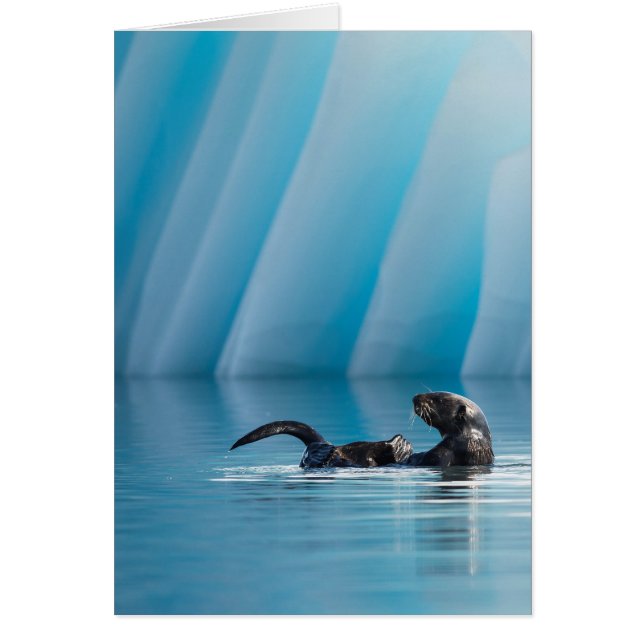 Spelande sjöutter hälsningskort (Framsidan)