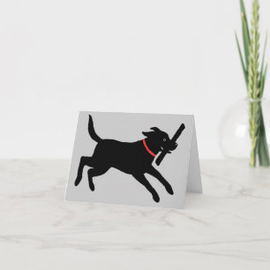 Spelande svart labrador Retriever Cute Black Hun Kort