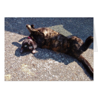 Spelande tortoiseshell-katt hälsningskort