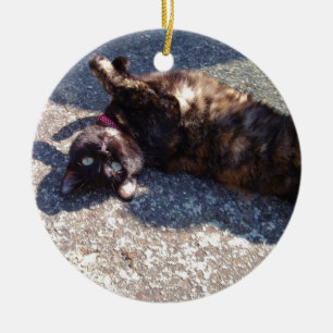 Spelande tortoiseshell-katt julgransprydnad keramik