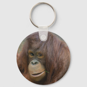 Spelande Young Orangutan Baby Nyckelring