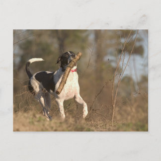 Spelar upp hämtning vykort