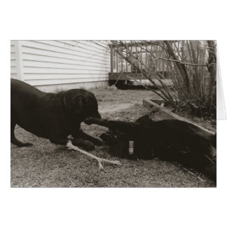 Spelare Hälsningskort