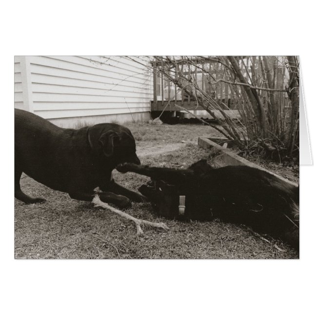 Spelare Hälsningskort (Framsidan Horizontal)