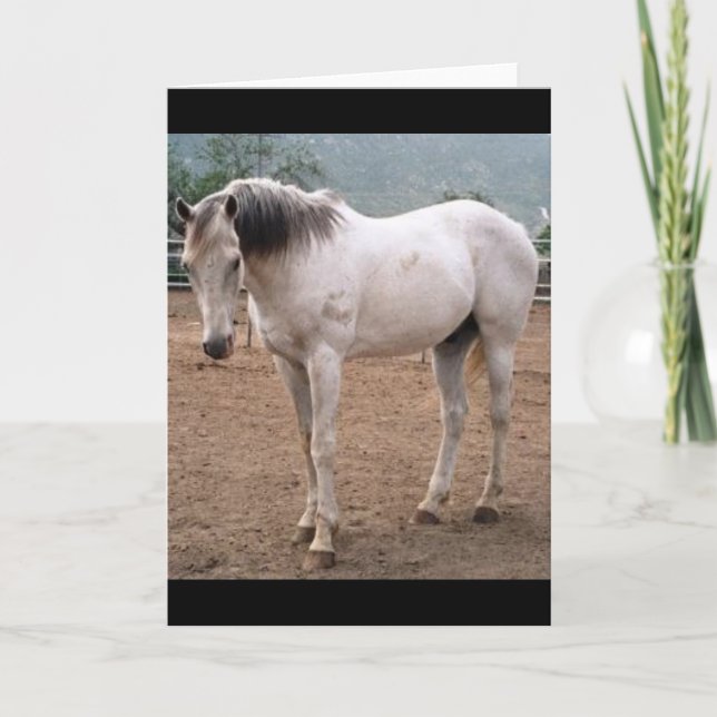 Spelare Way Kort (Framsida)