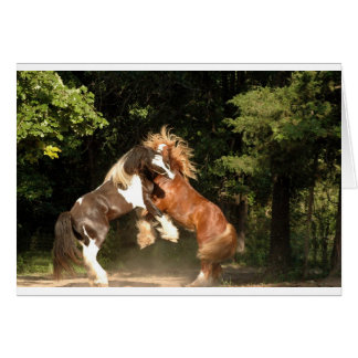 Spelas vid Sunset Hälsningskort