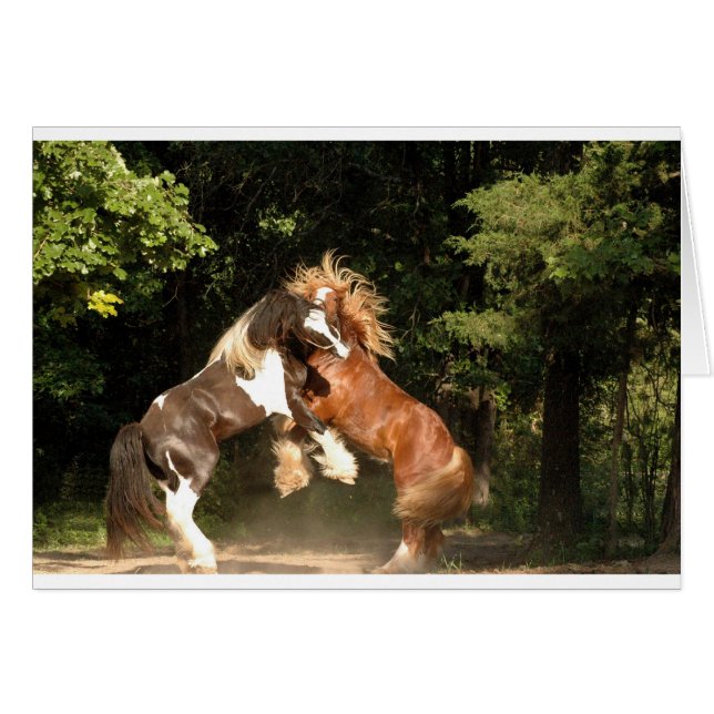 Spelas vid Sunset Hälsningskort (Framsidan Horizontal)