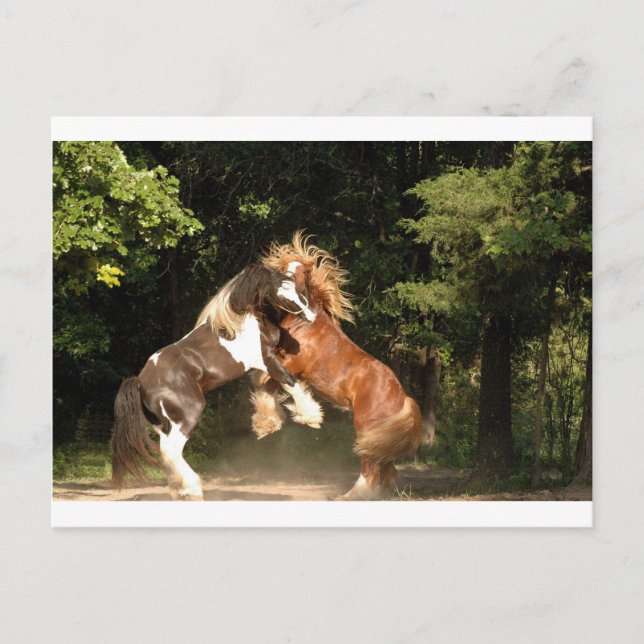 Spelas vid Sunset Vykort (Framsida)